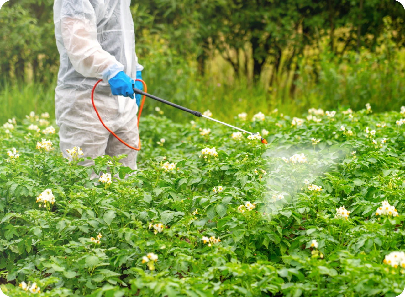 Farmer applying pesticide in field
